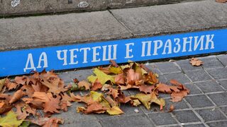 Книги на тавана