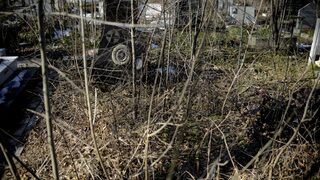 Започва мащабна акция по почистването на гробищата в София