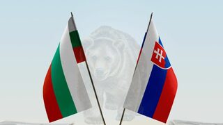 Защо България и Словакия са най-уязвими към дезинформация от Кремъл