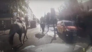 Коне от кавалерийски полк отново препускаха свободни в центъра на Лондон