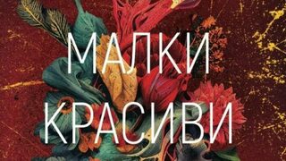 Защото е интересно: за книгата на Черил Стрейд "Малки красиви неща"