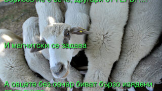 Фотогалерия: "Аз контакт с почетния деребей нямам", и още <span class="highlight">комикси</span>