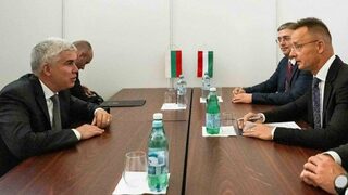 "Красив приятелски жест" - енергийният министър Малинов е предложил помощ на Орбан