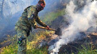 Пожар тръгна от военния полигон "<span class="highlight">Корен</span>", гори край село Брягово