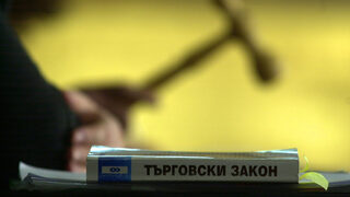 "Търговска дейност", "управителен" и "контролен" орган по смисъла на Търговския закон