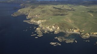 Рекорден брой хора напускат Нова Зеландия заради икономически проблеми