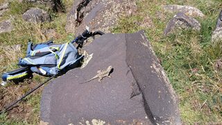 Фотогалерия: Да те покори <span class="highlight">Арарат</span>! Българско изкачване до митичния връх