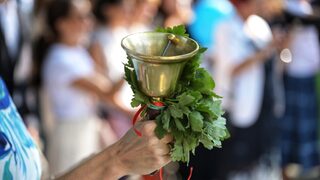 Обещаващото в кризата на образователната ни система