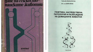 "Почти 100% чужди текстове": Етичната комисия получи сигнал за плагиатство на ректор