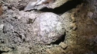 <span class="highlight">Археолози</span> откриха главата на намерената наскоро статуя в Хераклея Синтика