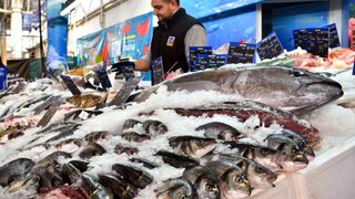 Цаца, ама риба: Все още редица видове в Черно море са под заплаха от изчезване и квоти