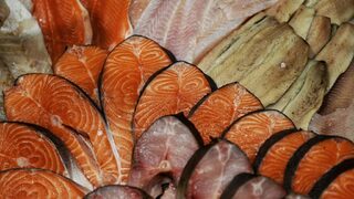 Днес и утре Fish Fest 2024 кани на морски празник в Борисовата градина