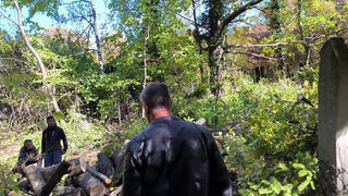 Близостта до Института за гората не опази вековна гора от незаконна сеч