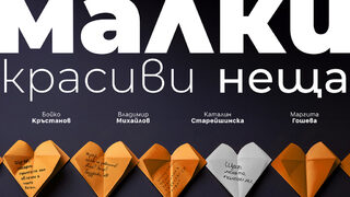 Малки красиви неща