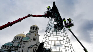 Снимка на деня: Коледната <span class="highlight">елха</span> на София расте