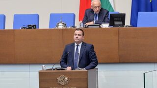 Социалистите обвиниха всички останали партии, че искат избори