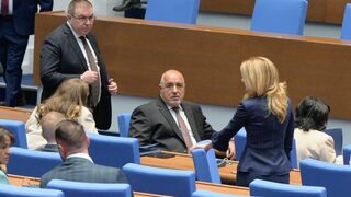 Нов обрат: ГЕРБ няма да издига Назарян, ще подкрепи Наталия Киселова