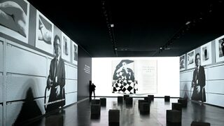Ретроспективна изложба с фотографии на Ървинг Пен беше открита в Испания