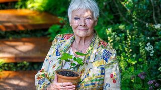 Джуди Денч на 90 г.: Ще си мисля, че ставам на 29