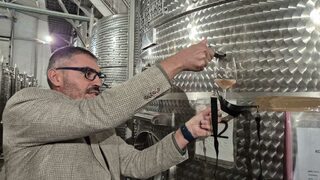 Велин Джиджев, "Типченица": Ще заложим на местни сортове и ще съчетаем виното с туризъм