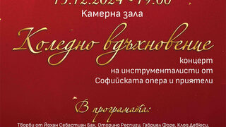 Коледно вдъхновение