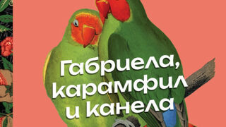 "Габриела, карамфил и канела" на Жоржи Амаду (откъс)