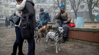 Снимка с история: Лицето на войната в Украйна