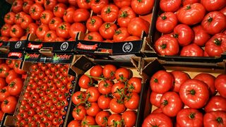 Алтернативните производства в малките населени места ще бъдат подкрепени със 100 млн.лв.