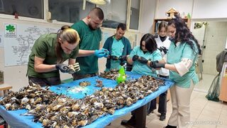 Стотици птици са умрели от стрес заради гърмежите около Нова година