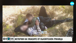 Над 350 сигнала за бедстващи мигранти са получени във фондация "Мисия криле" през 2024 г.
