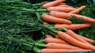 За 28% от българите земеделските субсидии са твърде ниски