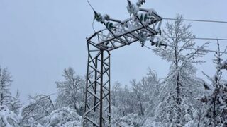 Прилагането на тактиката и вълкът да е сит, и агнето - цяло, гаси тока при първия сняг