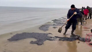 Руски учен предупреди за петна мазут в България, какво е известно у нас и кой за какво отговаря