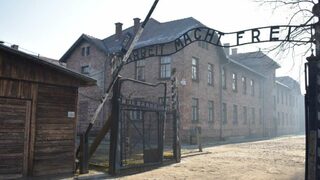 80 години от освобождението на Аушвиц: най-бруталната машина за убийства на нацистите
