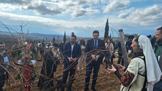 Броят на винарските изби в България е вече 362