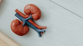 Срещу "тихия убиец": За ранното откриване на хронично бъбречно заболяване ще има пари
