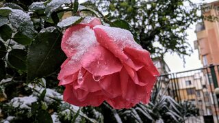 Сняг и ниски температури ще напомнят, че зимата все още не си е тръгнала