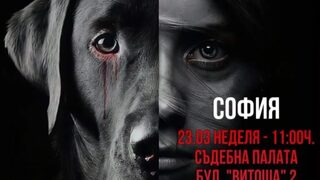 Протест срещу насилието над животни ще се състои в София днес