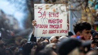 Снимка на деня: "Престъпление, а не гледка" - протестите в защита на животните продължават