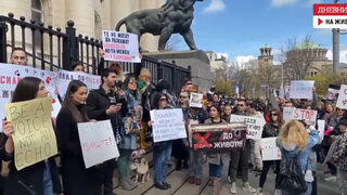"Ние сме властта": Как премина протестът в София срещу насилието над животни (видео)