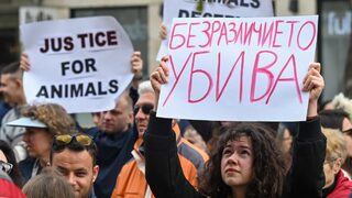 България: За какво протестираме и за какво НЕ протестираме