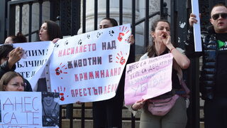 "Писна ни". Протести срещу насилието над животни се проведоха в цялата страна