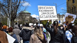Благотворителен концерт в защита на животните ще се състои в София