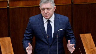 Словакия ще избие 350 мечки в търсене на стръвници