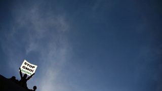 Румънското министерство на околната среда призова фермерите да не отглеждат ГМ <span class="highlight">царевица</span>