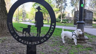 В София се проверяват собственици на кучета за спазване на правилата при разходка