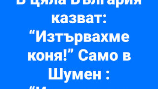 Фотогалерия: Черна <span class="highlight">котка</span> да не ти мине път в Шумен, или социалните мрежи за пантерата