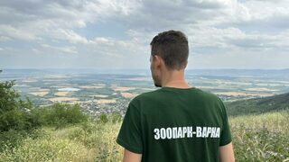 Екоминистерството моли да се подават само достоверни сигнали за черния леопард