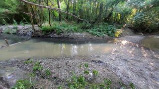 Институциите в столицата знаят за изливането на фекални води в река Дървенишка