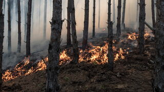 Причината за пожара в местността Гарга баир край Велико Търново е волтова дъга